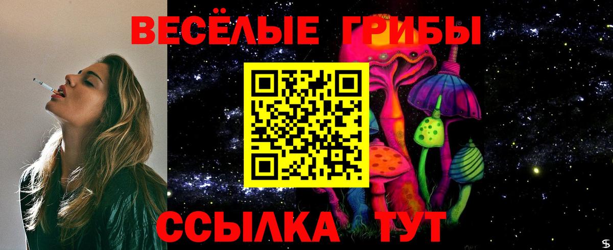 купить   Галлюциногенные грибы ЛСД  Вход с VPN  Малоярославец 