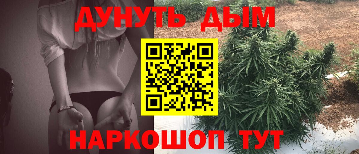 Конопля планчик Малоярославец